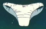 bulmasbloomers.png
