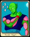 Piccolo2.jpg