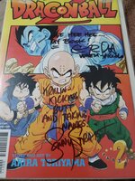 DBZ comic.jpg