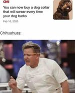 1000001592.jpg
