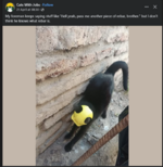 1745393183702.png