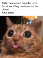 1746191007938.png