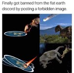 1000023385.jpg