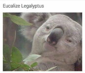 aAyOGBL_700b.jpg